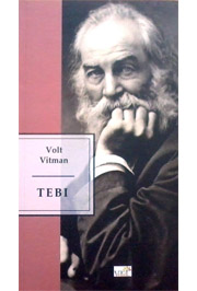 TEBI 