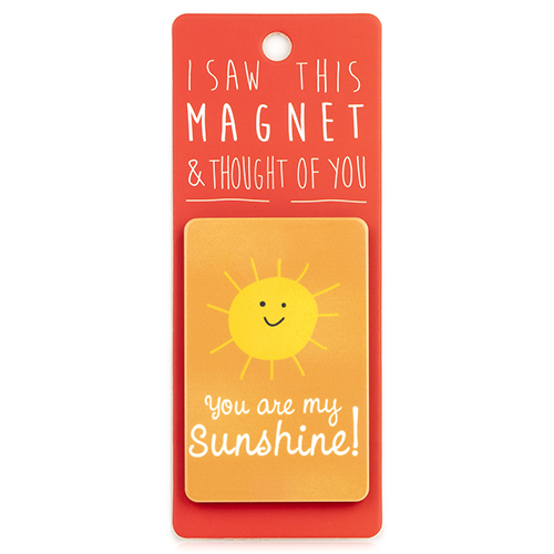 Magnet za frižider I SAW THIS MAGNET You Are My Sunshine 