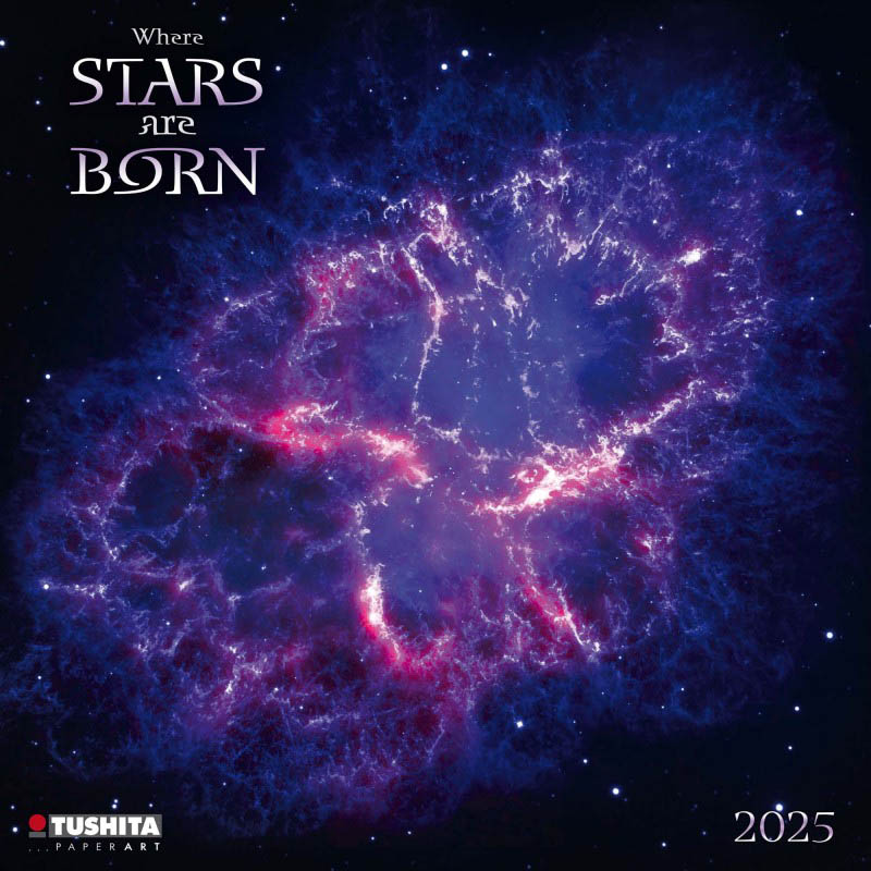 Zidni kalendar WHERE STARS ARE BORN 2025 