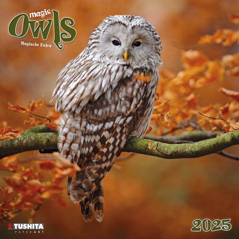 Zidni kalendar MAGIC OWLS 2025 