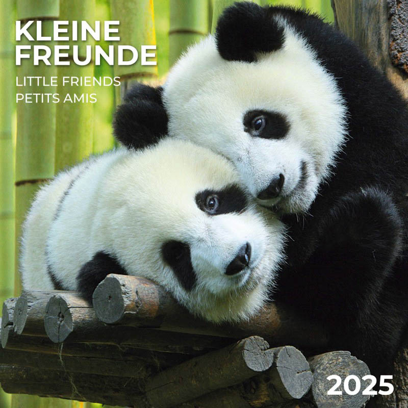 Zidni kalendar LITTLE FRIENDS 2025 