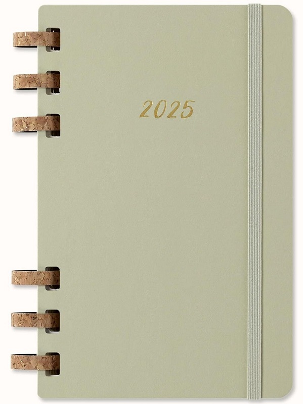 MOLESKINE planer KIWI L 2025 