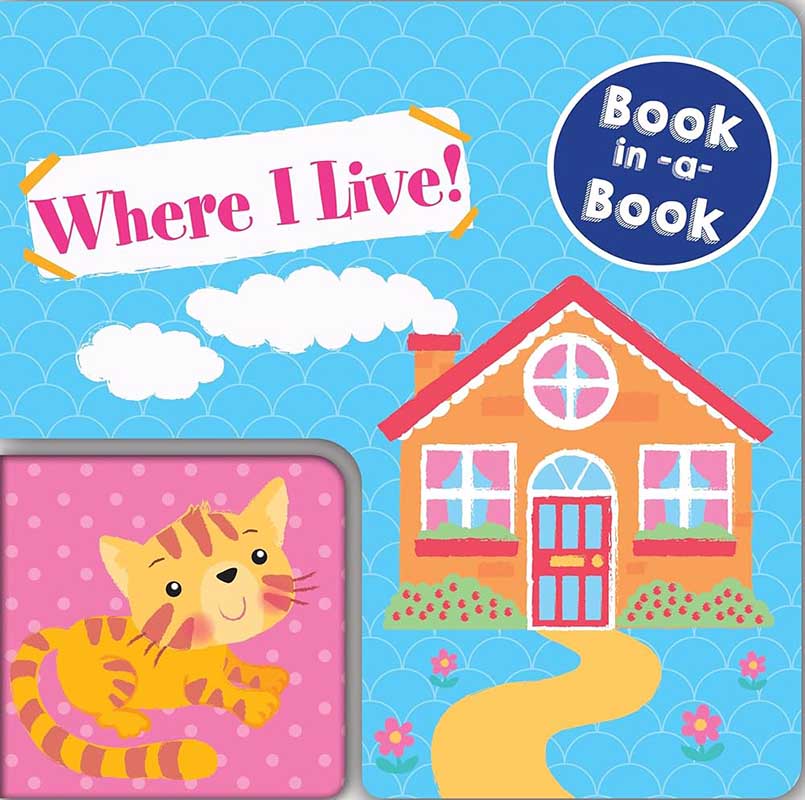 BOOK IN A BOOK WHERE DO I LIVE 