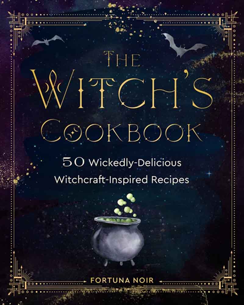 THE WITCH S COOKBOOK 