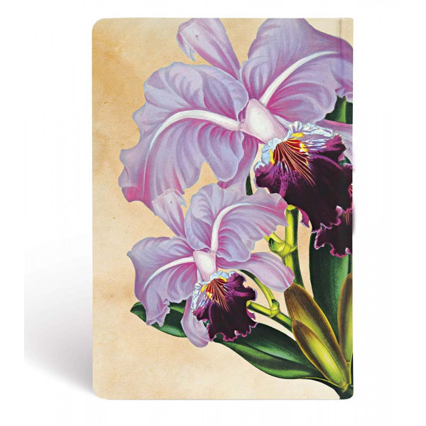 Notes 9x14cm PAINTED BOTANICALS BRAZILIAN ORCHID MINI 