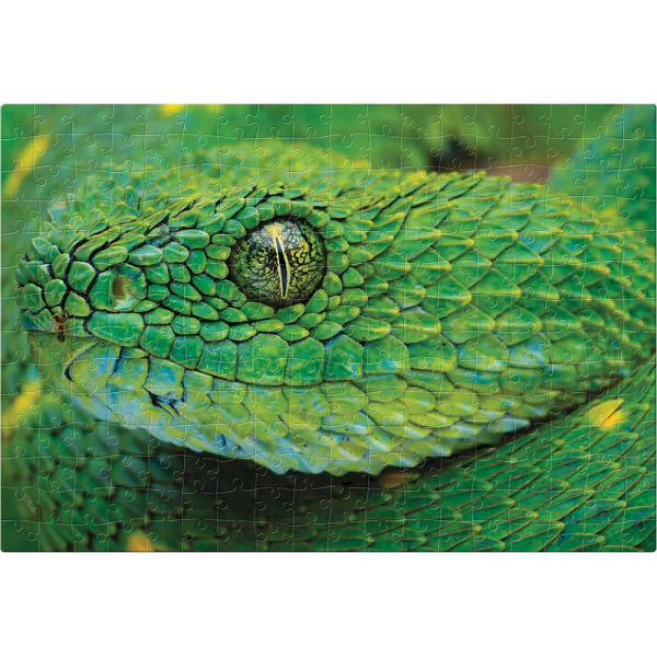 PUZZLE 250kom COLOURFUL NATURE SNAKE 