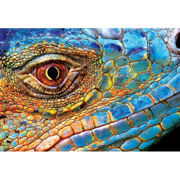 PUZZLE 250kom COLOURFUL NATURE LIZARD 