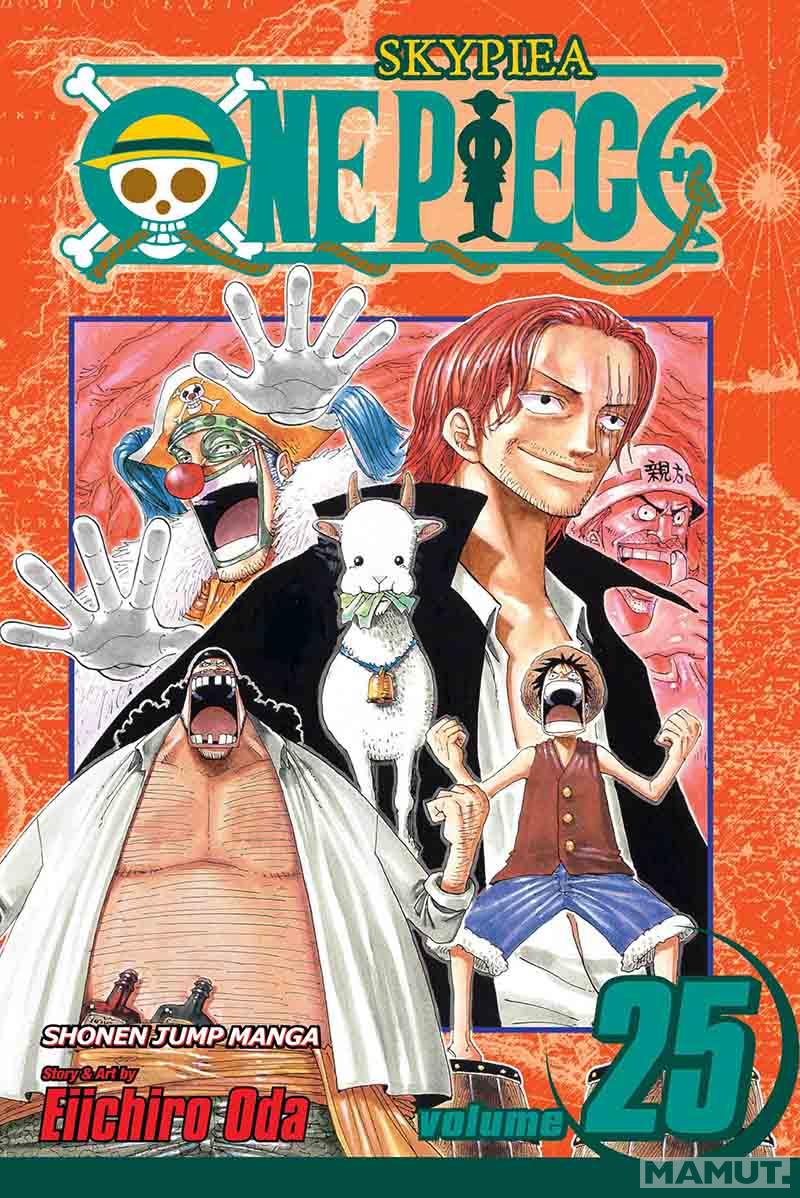 ONE PIECE VOL25 