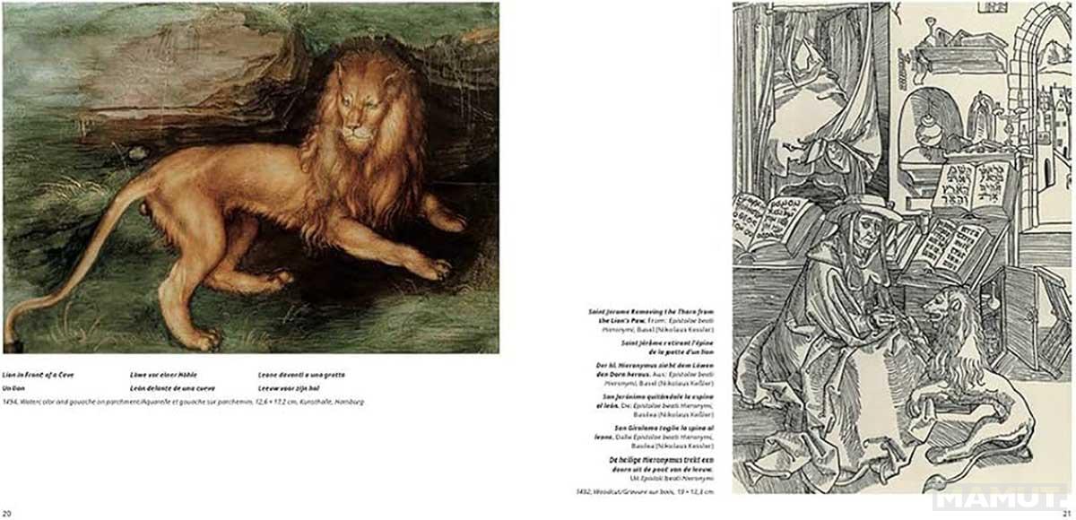 DUERER Artist Monographs 